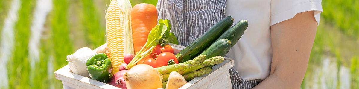 夏バテは食べて乗り切ろう!夏の体調管理に欠かせない食材